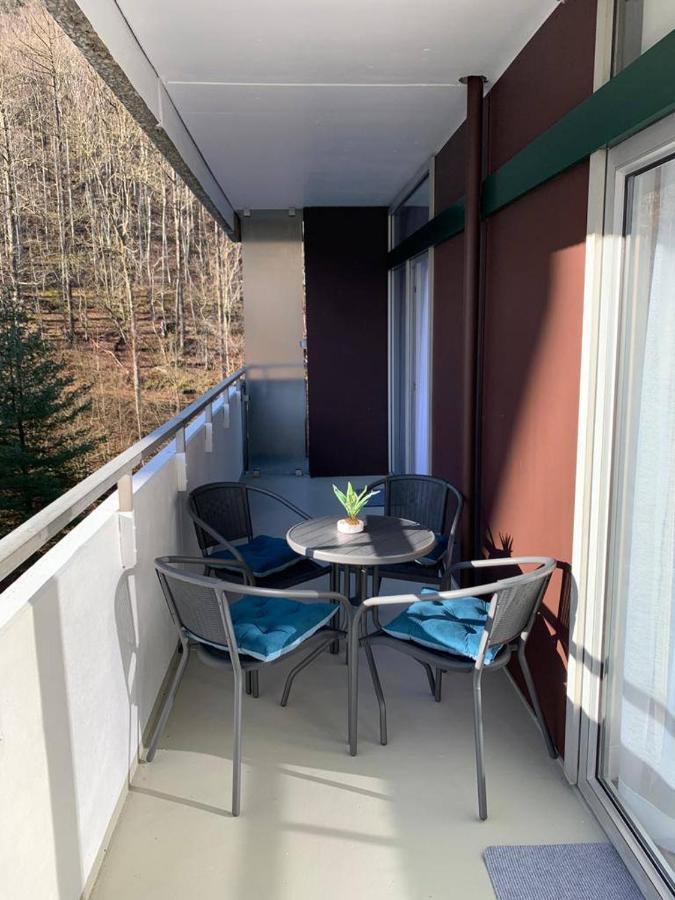 Mariposa 3 Incl Pool & Sauna Bad Harzburg Esterno foto
